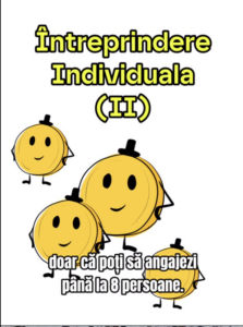 Întreprindere individuală